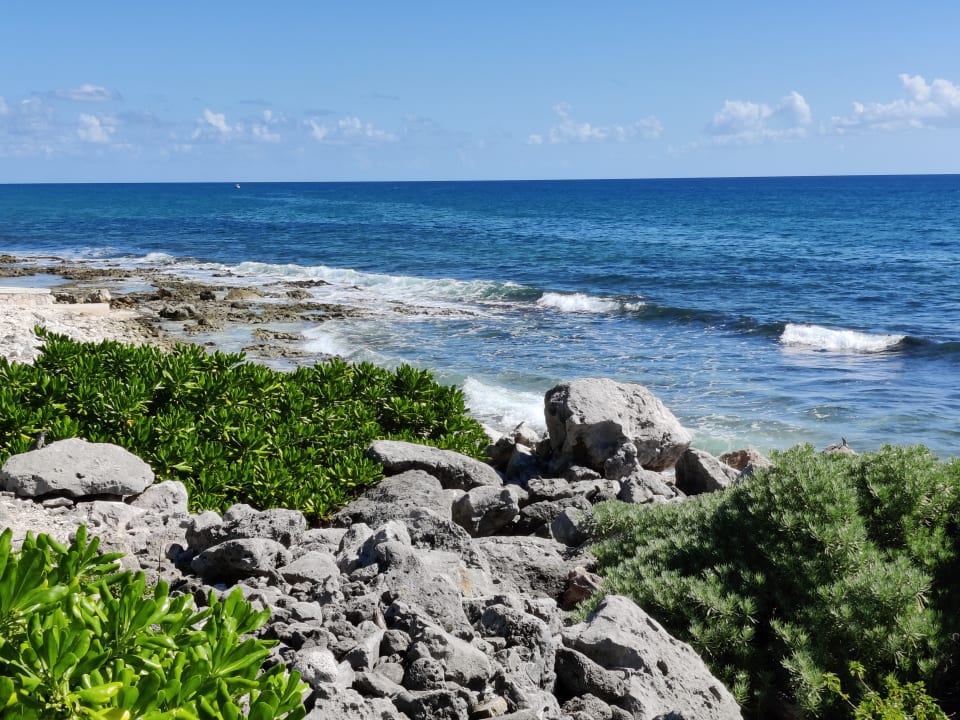 Strand TRS Yucatan Hotel - Adults only