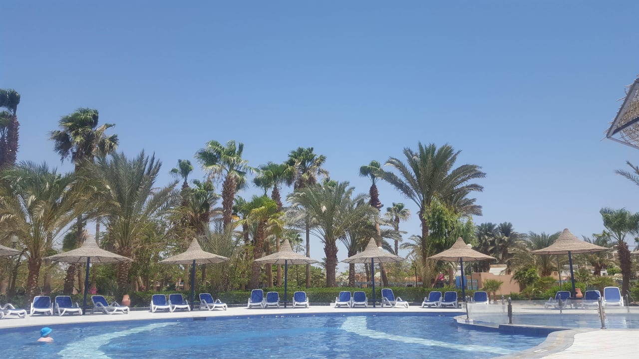 Kinderpool Giftun Azur Resort