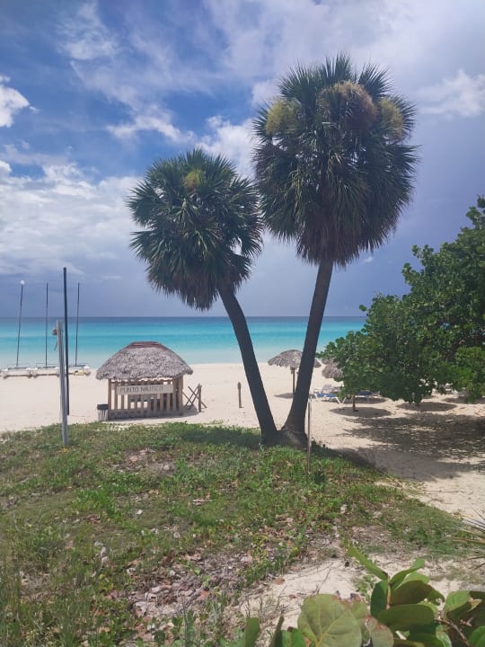 Strand Starfish Cuatro Palmas