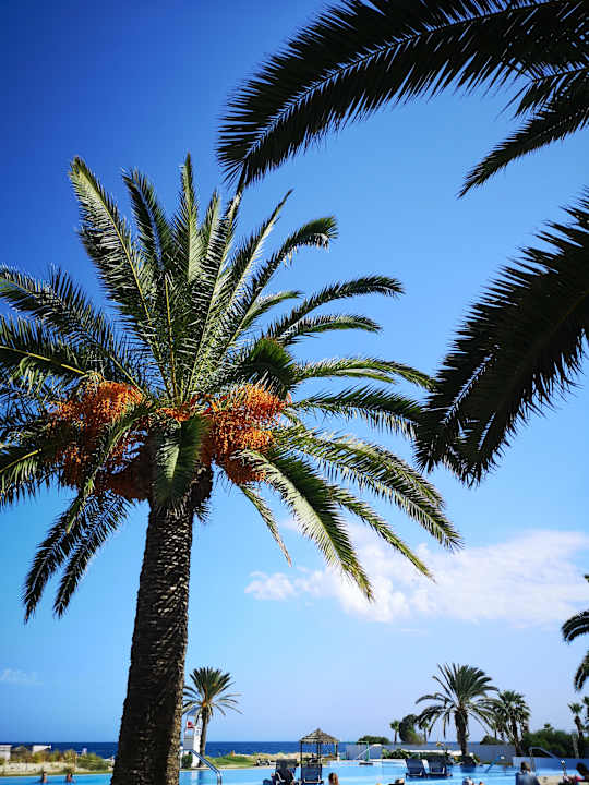 Außenansicht Iberostar Selection Kantaoui Bay