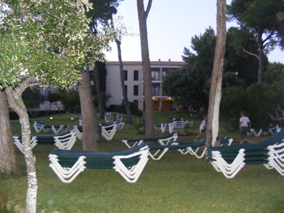 Pool Protur Floriana Resort Aparthotel