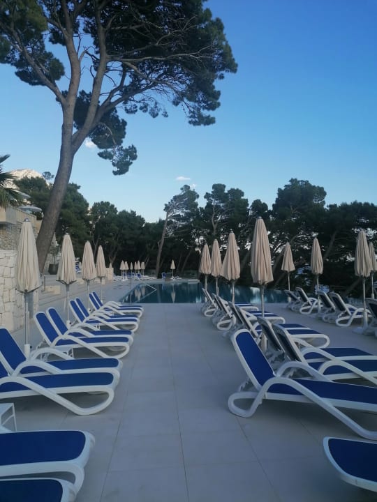 Pool Bluesun Hotel Berulia