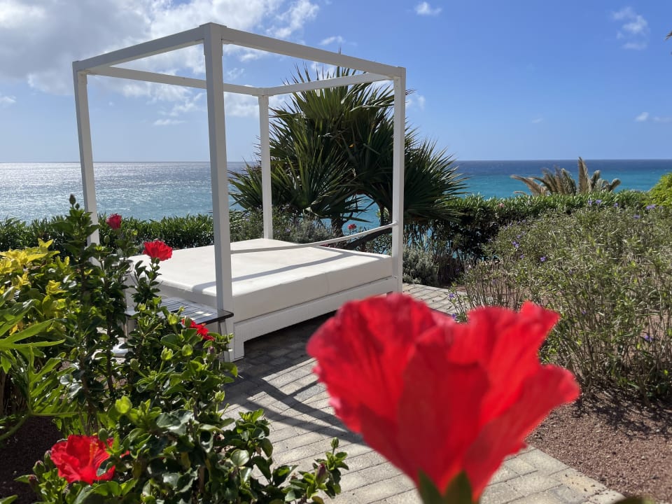 Gartenanlage R2 Pajara Beach