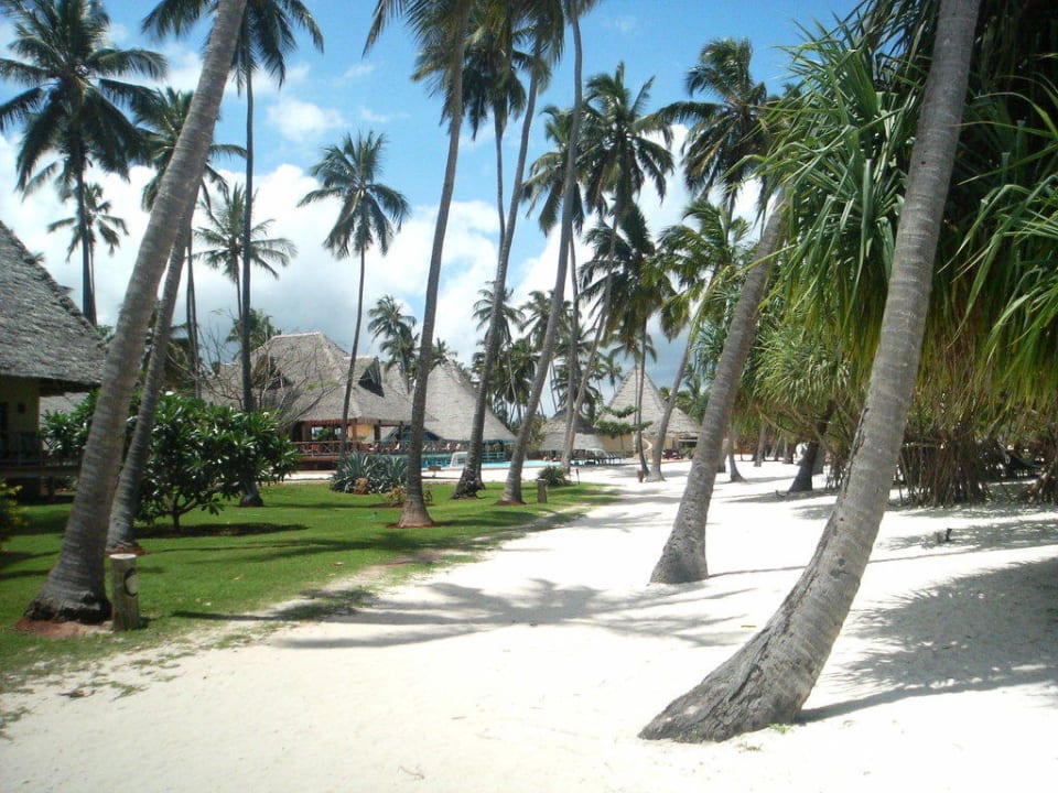 Zwischen Strand und Pool Neptune Pwani Beach Resort & Spa