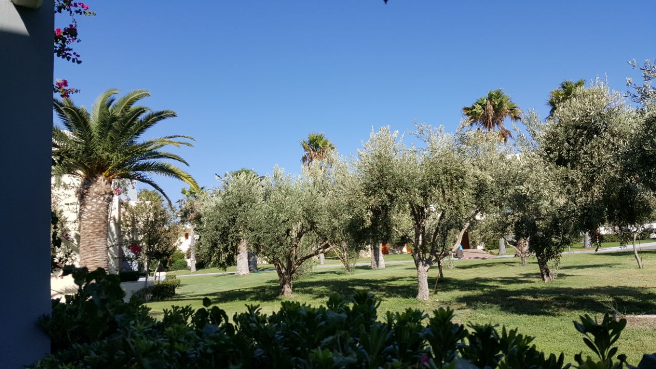 Gartenanlage Kipriotis Village Resort