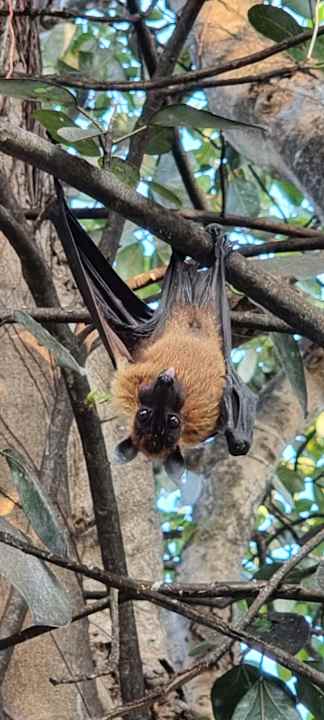 Sonstiges Kuredu Island Resort & Spa