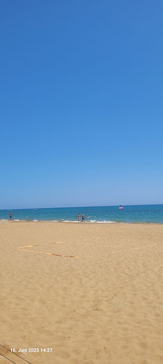 Strand Seashell Vega