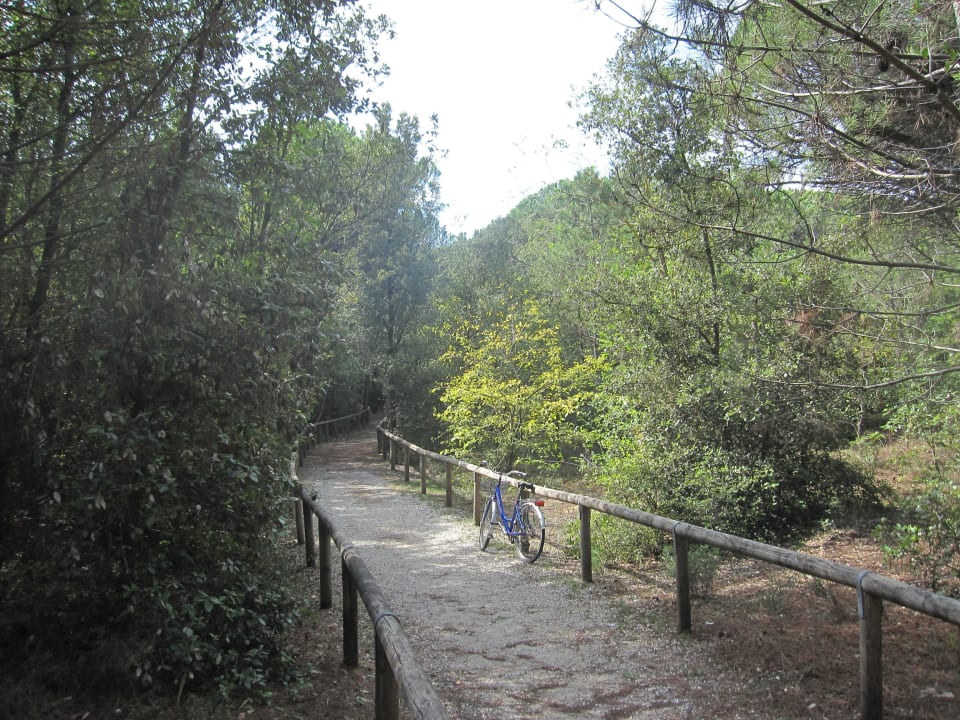 Bicicletta in pineta di Eraclea Mare Park Hotel Pineta - Family Relax Resort