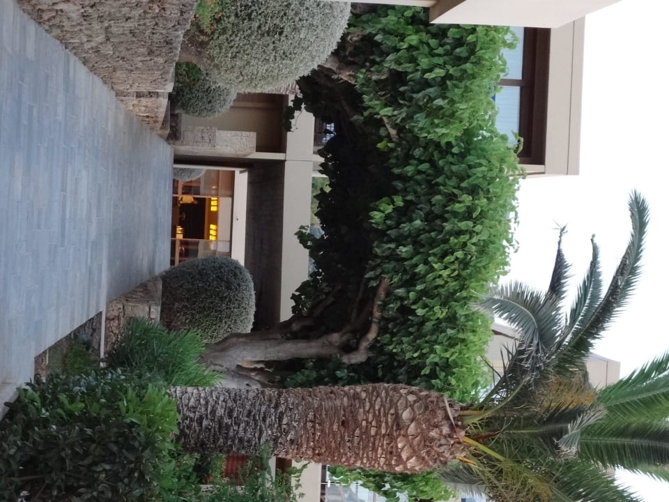 Blick richtung Lobby Kernos Beach Hotel & Bungalows