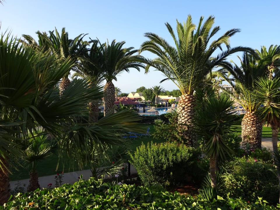 Garten Anissa Beach & Village