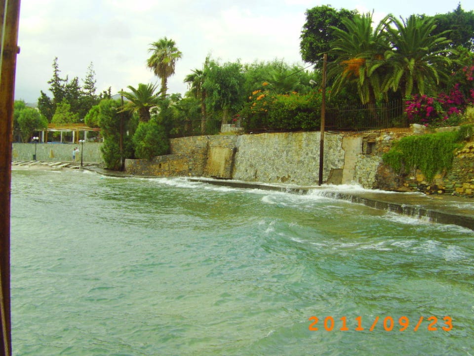 Wenn es die Nacht geregnet hat Hotel Alexander House