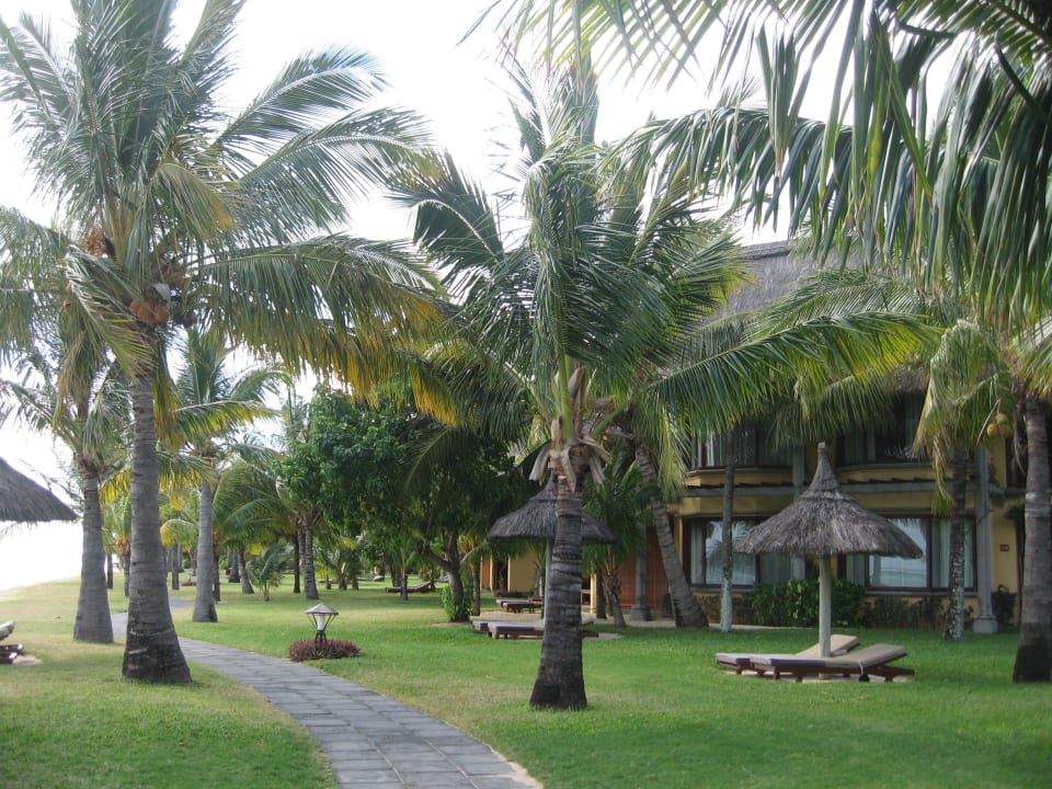 Die Ruhe, ein Traum  Dinarobin Beachcomber Golf Resort & Spa