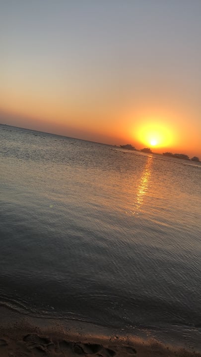 Strand Pickalbatros White Beach Resort - Hurghada