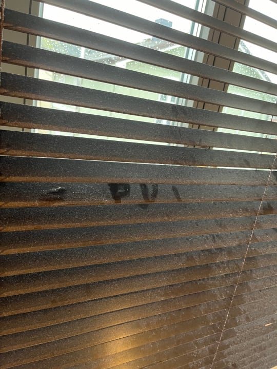 Zimmer Mimosa Suites