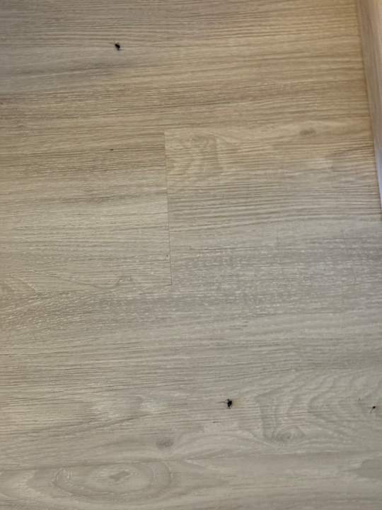 Zimmer SBH Hotel Taro Beach