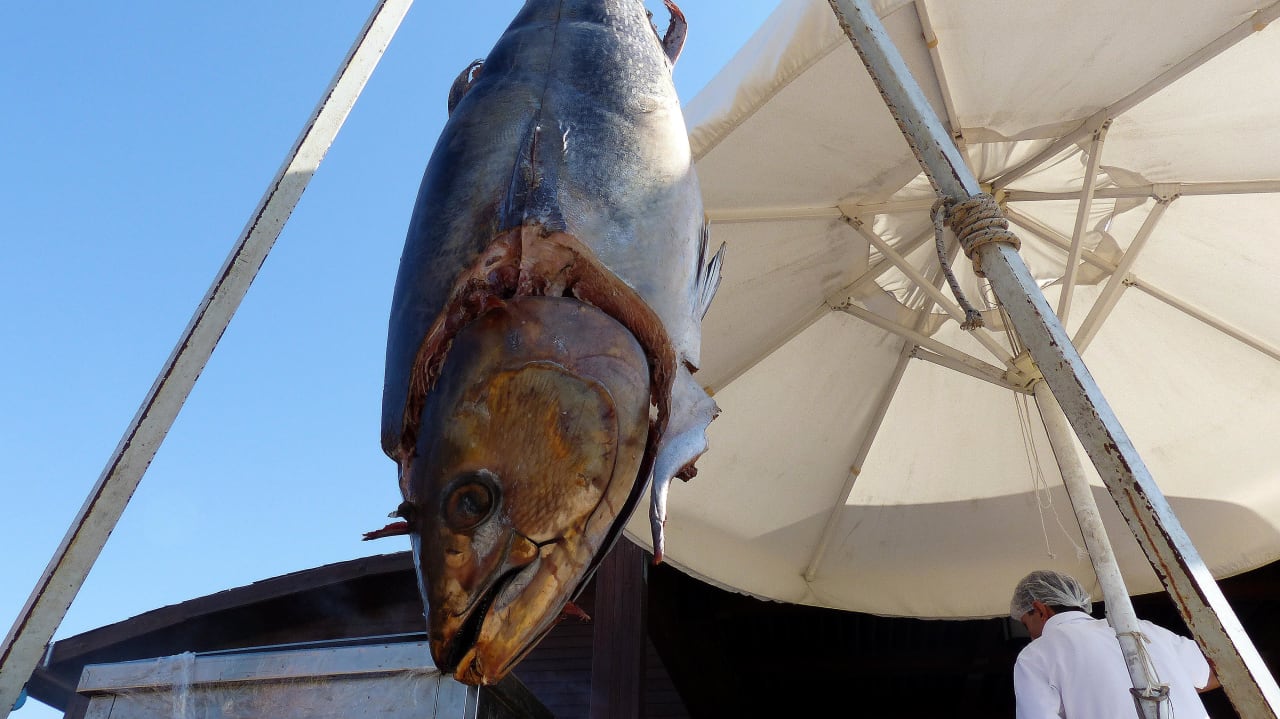 Tunfisch - Grillen am Strandrestaurant Sunis Evren Beach Resort Hotel & Spa