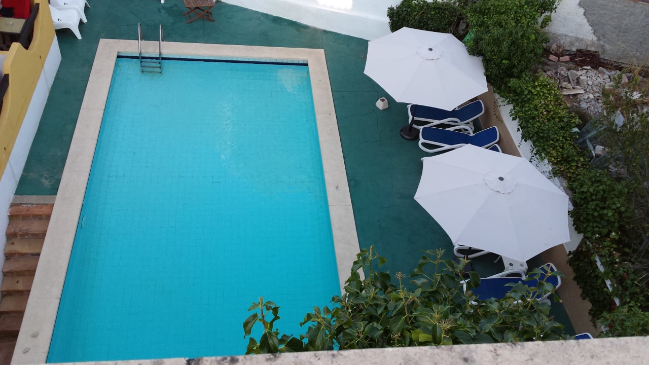 Pool Hostel Don Carlos