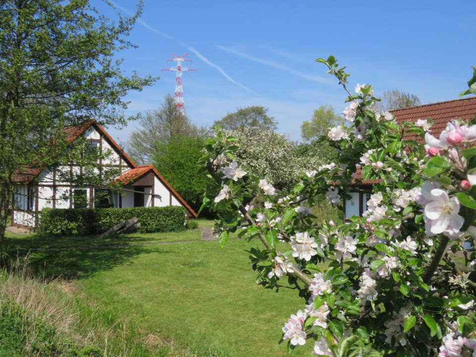 Außenansicht Feriendorf Altes Land