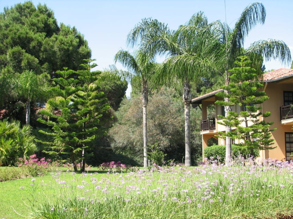 Ogród Asteria Family Belek