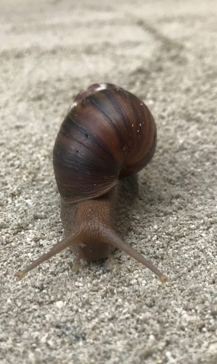 Sonstiges Kuredu Island Resort & Spa