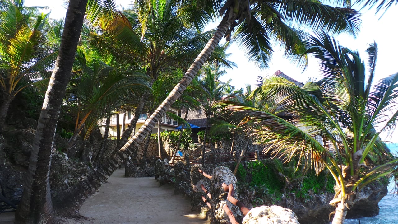 Gartenanlage Bahari Beach Hotel