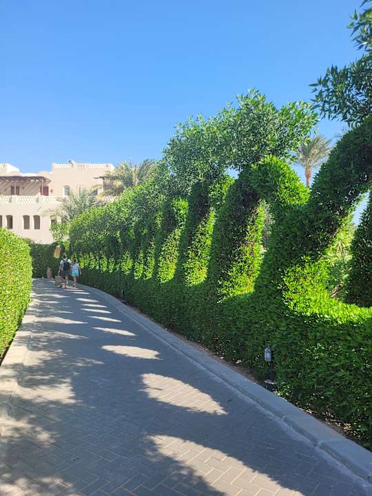 Strand Jaz Makadi Oasis Resort