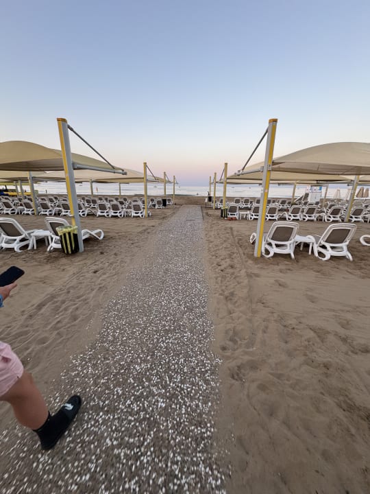 Strand TUI BLUE Xanthe