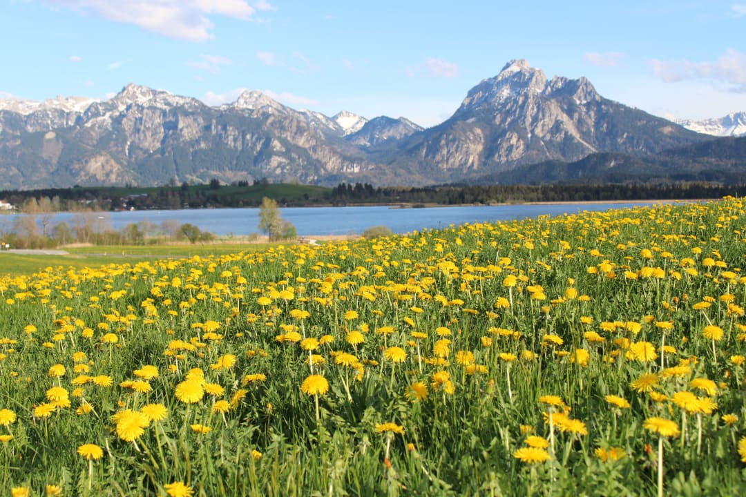 Sonstiges Ferienhof - Bauernhof Hefele
