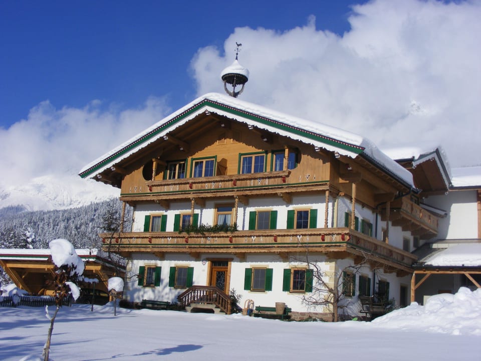 Biobauernhof Pfitscherhof Ellmau WInter Bauernhof Sternhof - Pfitscherhof