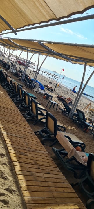 Strand Crystal Family Comfort Collection