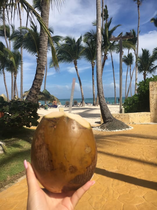 Strand Meliá Caribe Beach Resort-All Inclusive