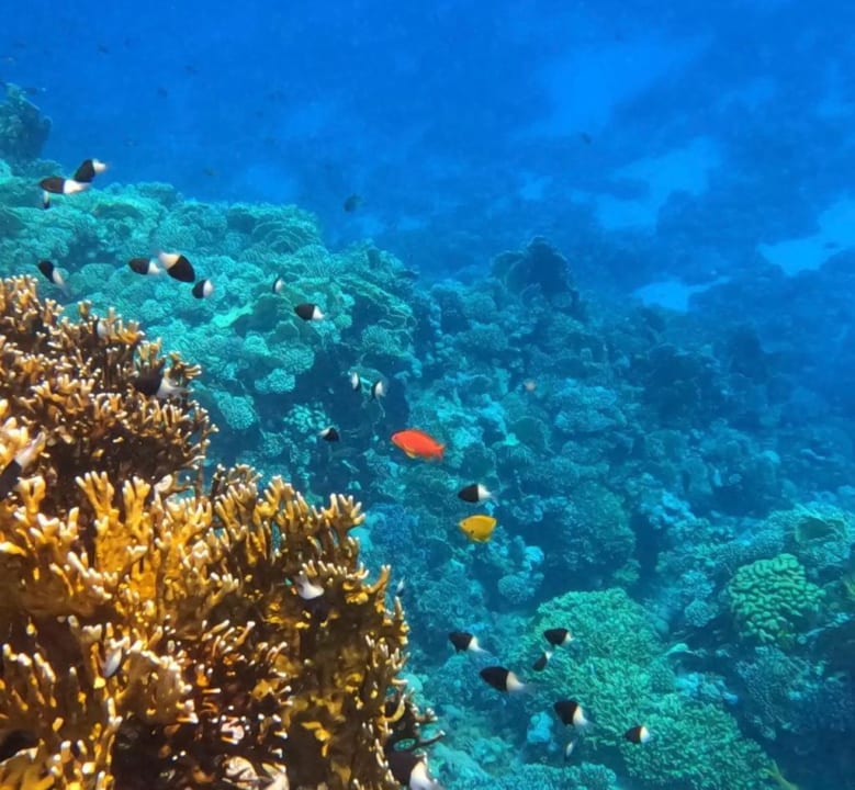 Strand Casa Mare Resort