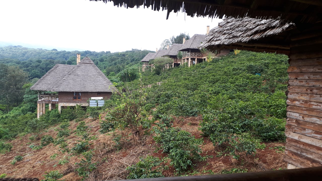 Ausblick Neptune Ngorongoro Luxury  Lodge