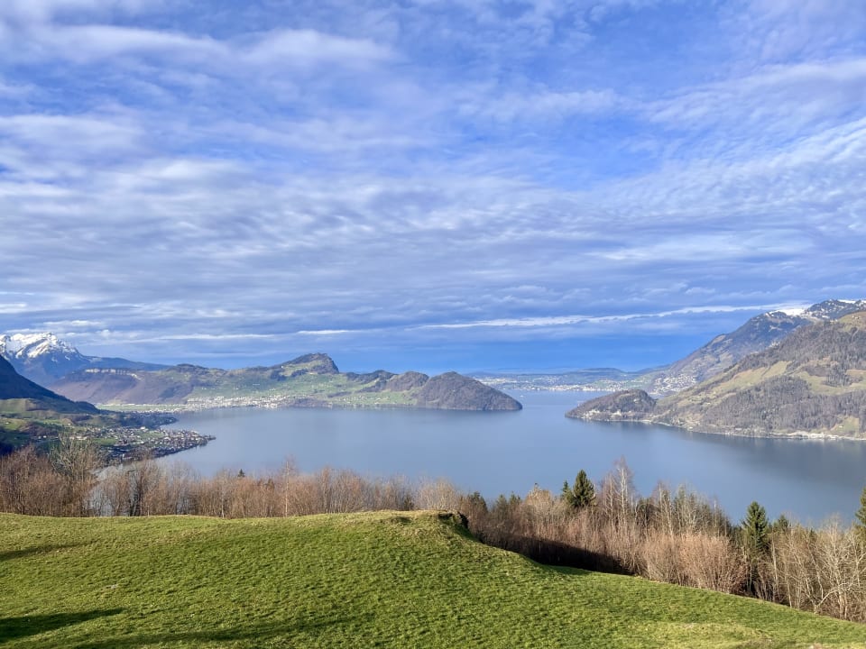 Ausblick Seeblick Höhenhotel