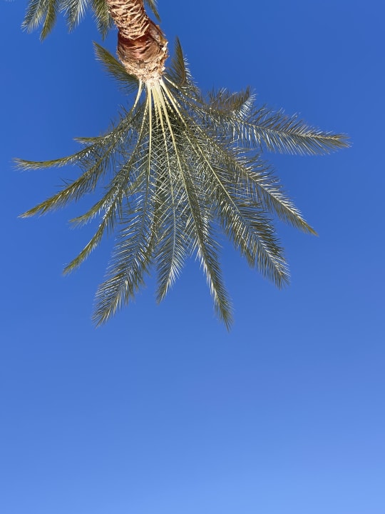 Ausblick Jaz Makadi Oasis Resort