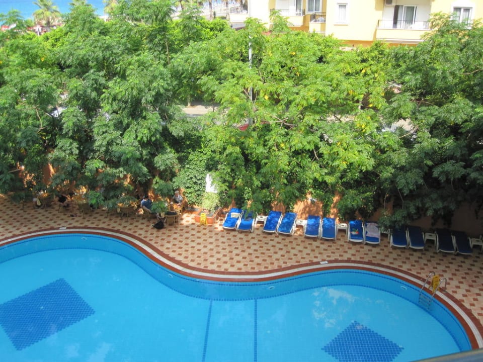 Pool Hotel Kleopatra Dreams Beach