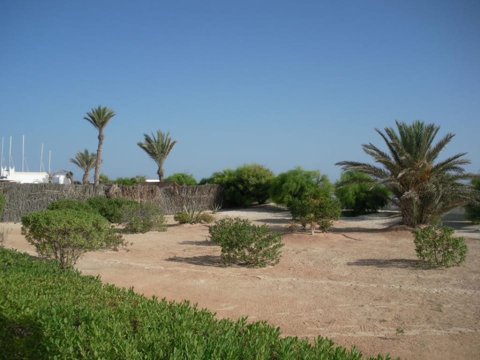 Gartenanlage im Yati Beach Calimera Yati Beach