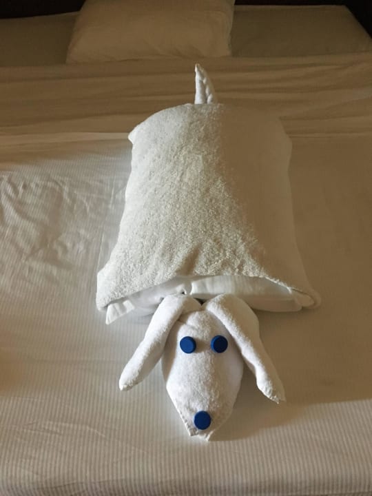 Nette kleine Basteleien vom Zimmerboy Mohammed Pickalbatros Alf Leila Wa Leila Resort - Neverland Hurghada