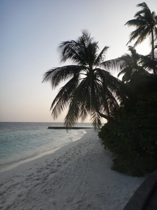 Paradise W Maldives