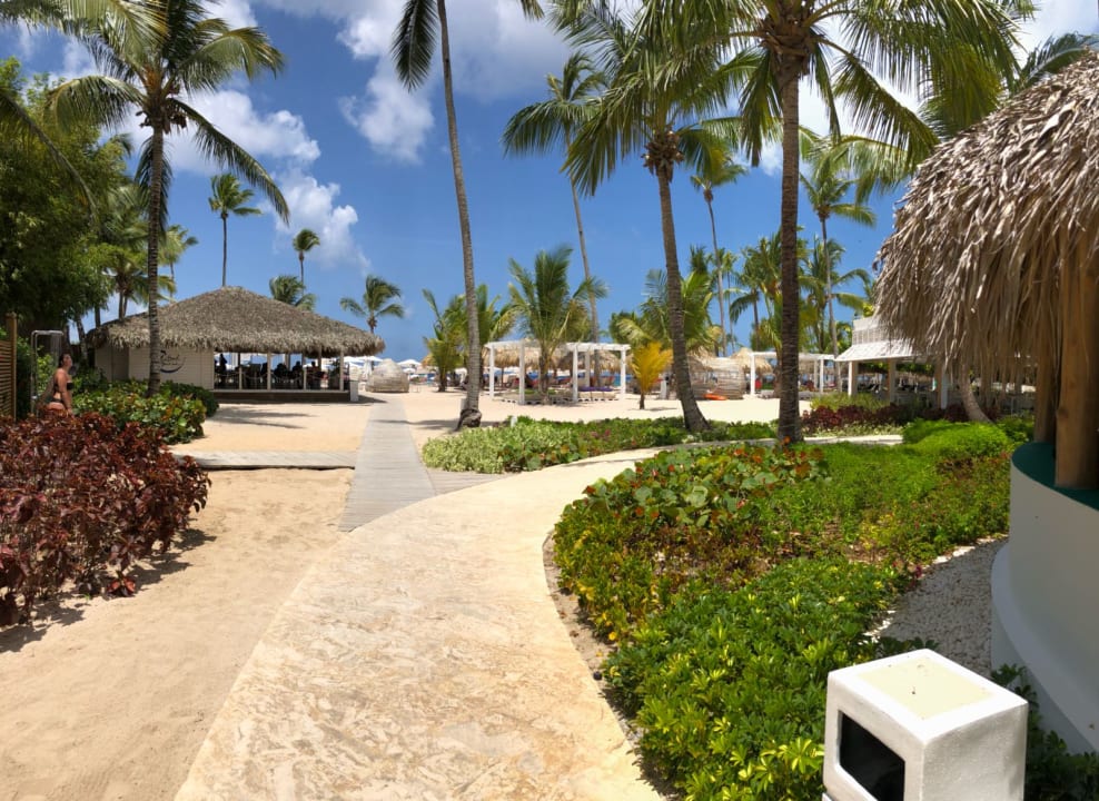 Strand Catalonia Royal La Romana - Adults only