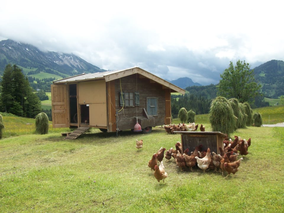 Außenansicht Bauernhof Haus Edelweiss