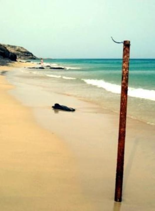 Hotel-Strand SBH Club Paraiso Playa