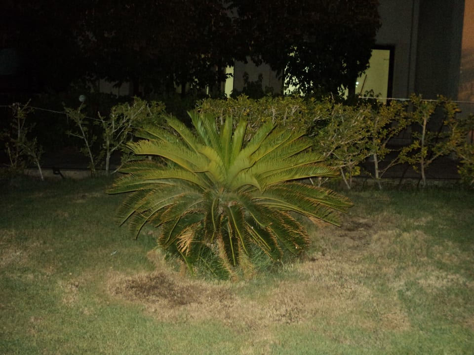 Hotel Stella Makadi Gardens Stella Garden Resort & Spa, Makadi Bay