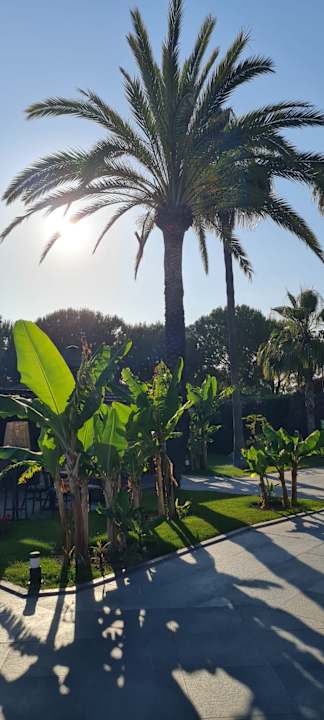 Gartenanlage Hotel Miramare Beach