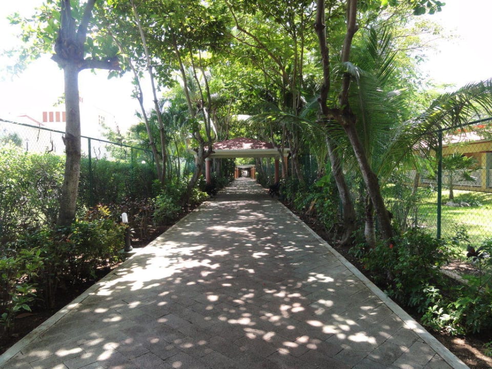 Der schattige Weg zum Strand!  Hotel Riu Tequila
