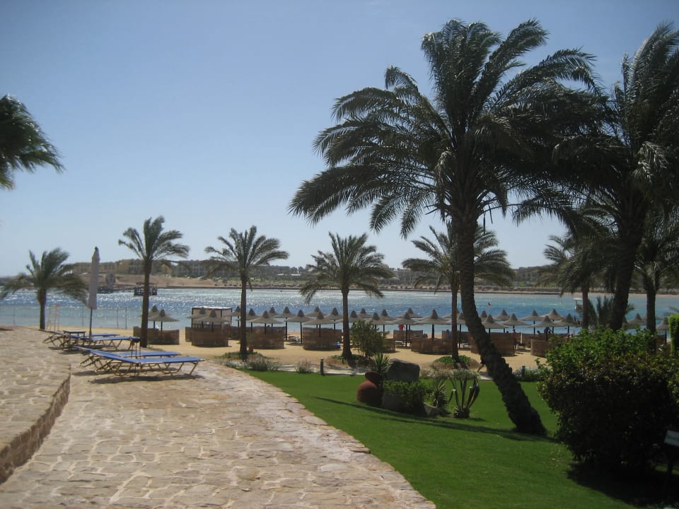 Blick auf Hotelstrand Steigenberger Coraya Beach - Adults only