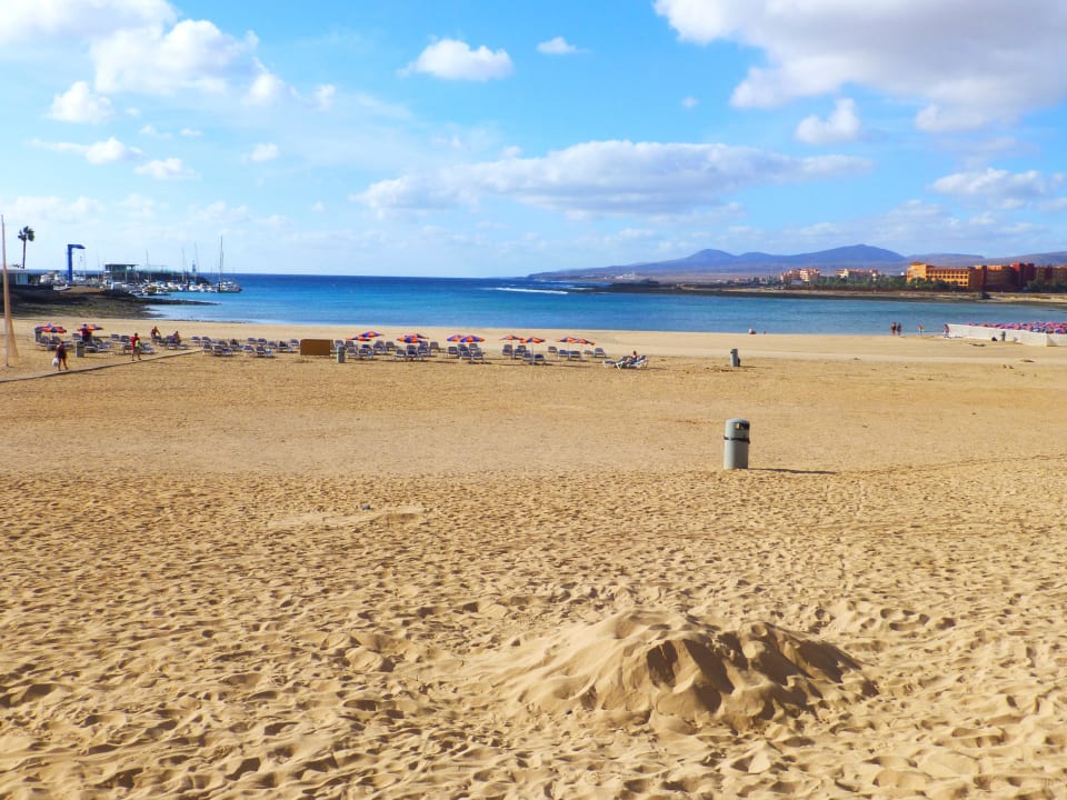 Hotelnaher Strand Barceló Fuerteventura Mar
