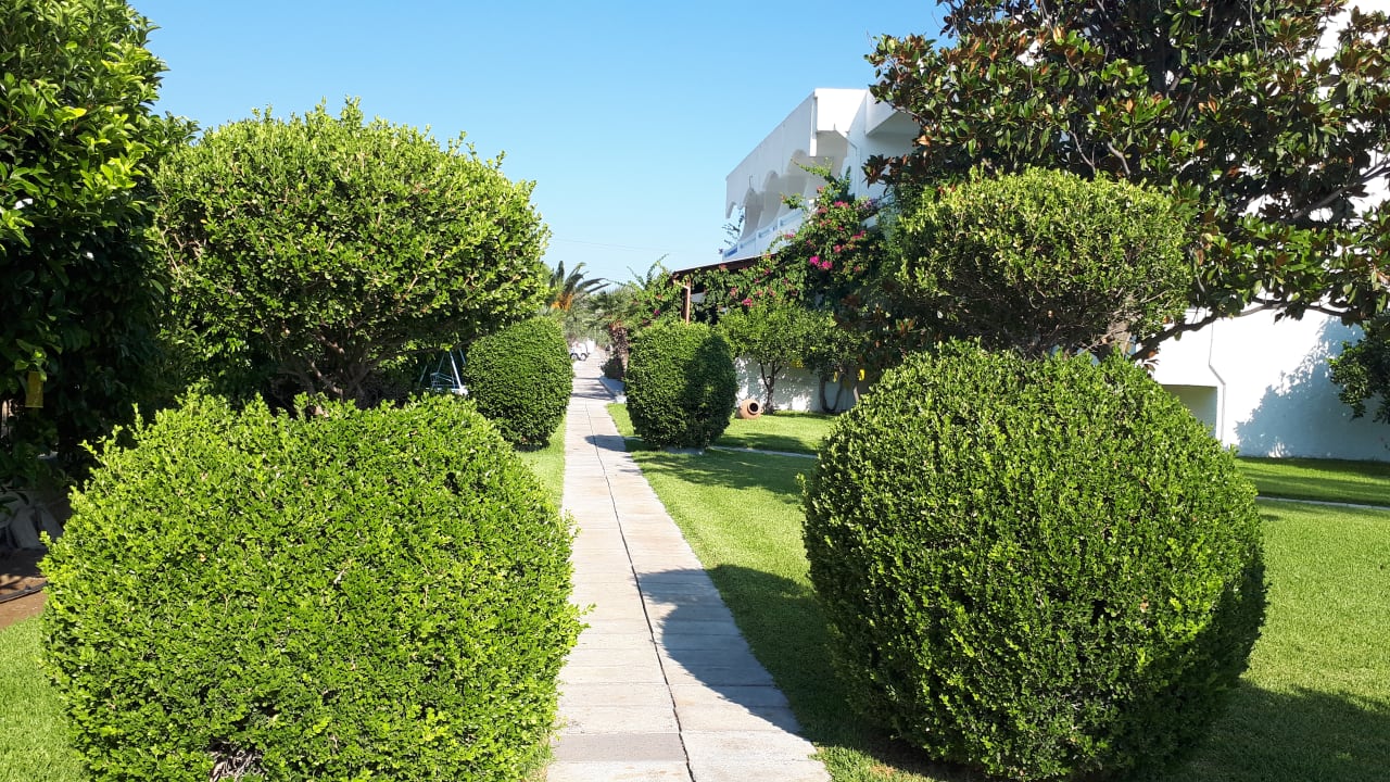 Gartenanlage Hotel Tina Flora