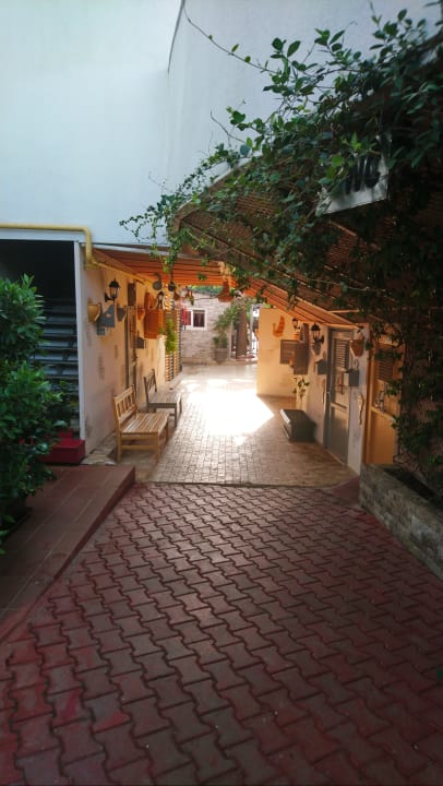 Gartenanlage Hane Family Resort