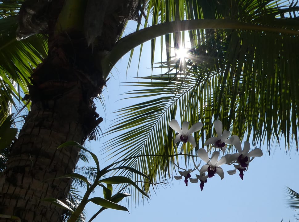 Sonstiges Kuredu Island Resort & Spa